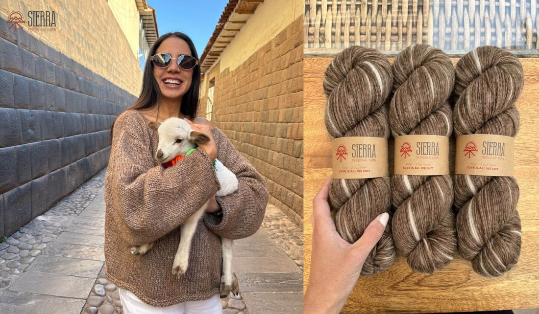 Woman in Cusco Peru cradling a baby alpaca in a handknit sweater beside Sierra Andean Spirit Brown Ivory skeins of Baby Alpaca Pima Cotton Blend alpaca yarn