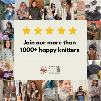Sierra Beret - Beginner's Crochet Kit