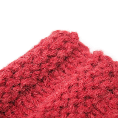 Alpaca RAYMI Alpaca Bulky Yarn